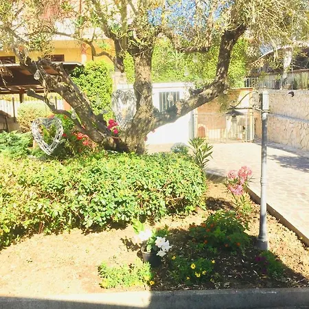 Bed & Breakfast Il Piu *