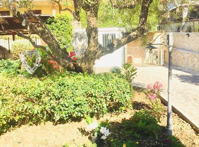 Nocleg ze śniadaniem Il Piu *